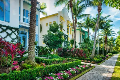 Three fresh short-term rental residences in Mexico Beach, FL – protected by Inlet Beach Insurance, conveniently close to 30A